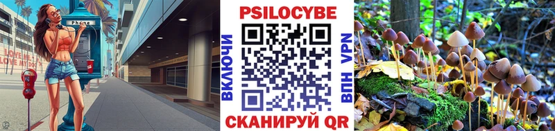 Галлюциногенные грибы Psilocybine cubensis  OMG онион  Туринск 